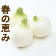 ヒメ日記 2026/04/05 11:49 投稿 白石まり OtoLABO～前立腺マッサージ（ドライオーガズム）専門店～