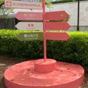 ヒメ日記 2026/04/13 14:39 投稿 白石まり OtoLABO～前立腺マッサージ（ドライオーガズム）専門店～