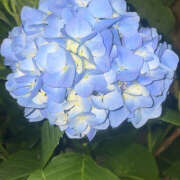 ヒメ日記 2025/10/17 20:37 投稿 あお 神田はっち