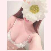 ヒメ日記 2025/11/17 18:01 投稿 わか リッチドールパート2梅田店