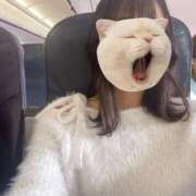 ヒメ日記 2025/11/01 20:31 投稿 彩月ありす 新ハイブリッドエステ エクスタシーPLUS