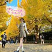 ヒメ日記 2025/11/30 12:23 投稿 りこ 高級エステ セラピスト