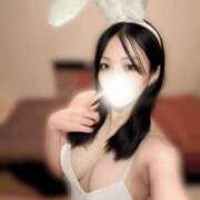 ヒメ日記 2025/11/08 13:22 投稿 りの 恋するバニー