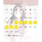 ヒメ日記 2026/03/09 19:29 投稿 りの 恋するバニー