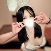 ヒメ日記 2026/03/17 07:55 投稿 りの 恋するバニー