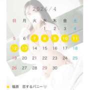 ヒメ日記 2026/03/30 11:45 投稿 りの 恋するバニー