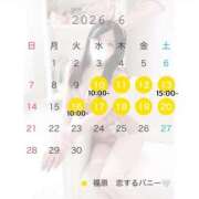 ヒメ日記 2026/06/02 16:47 投稿 りの 恋するバニー