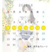 ヒメ日記 2026/08/03 12:38 投稿 りの 恋するバニー