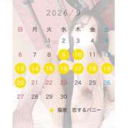 ヒメ日記 2026/09/03 11:49 投稿 りの 恋するバニー