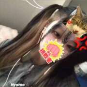 ヒメ日記 2025/11/02 08:41 投稿 にゃも 名古屋名駅・栄サンキュー