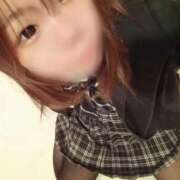 ヒメ日記 2025/12/11 13:41 投稿 にゃも 名古屋名駅・栄サンキュー