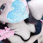 ヒメ日記 2026/04/04 13:01 投稿 にゃも 名古屋名駅・栄サンキュー