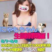 ヒメ日記 2026/05/01 12:18 投稿 にゃも 名古屋名駅・栄サンキュー