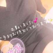 ヒメ日記 2025/11/14 21:51 投稿 ゆみこ 名古屋名駅・栄サンキュー