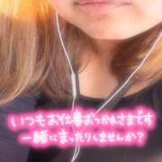 ヒメ日記 2026/10/08 16:21 投稿 ゆみこ 名古屋名駅・栄サンキュー
