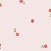 ヒメ日記 2025/12/24 21:33 投稿 湊美-MINAMI- luxury aroma 咲