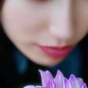 ヒメ日記 2025/11/01 11:52 投稿 白鳥 妃麗 レイ&マリア