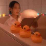 ヒメ日記 2026/01/17 11:51 投稿 白鳥 妃麗 レイ&マリア