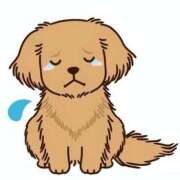 胡蝶 しばらく... 熟女の風俗最終章 横浜本店