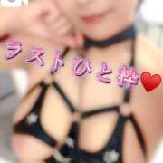 ヒメ日記 2026/02/25 15:51 投稿 こなつ★愛を超えるHカップ BUNNY PLAS