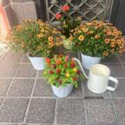 天下　波桜 ホクホク♡ 30・40・50代☆人妻熟女コレクション