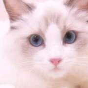 ヒメ日記 2025/12/22 12:37 投稿 まい しろうとCollection