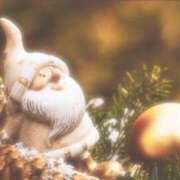 ヒメ日記 2025/12/23 16:07 投稿 まい しろうとCollection