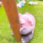 ヒメ日記 2026/01/13 13:07 投稿 まい しろうとCollection