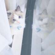 ヒメ日記 2026/03/30 15:07 投稿 まい しろうとCollection