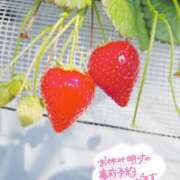 ヒメ日記 2026/04/12 21:12 投稿 みみ 若妻淫乱倶楽部 古河店