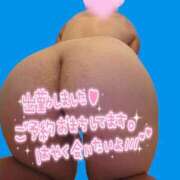 ヒメ日記 2025/12/03 10:00 投稿 みみ 若妻淫乱倶楽部