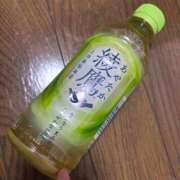 ヒメ日記 2025/10/19 09:24 投稿 ちろる 桃李（とうり）