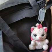 ヒメ日記 2025/11/11 20:17 投稿 りぜ 日本橋・谷九サンキュー