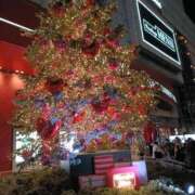 りぜ SENAがっかりだよ 日本橋・谷九サンキュー