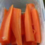 ヒメ日記 2026/01/30 17:07 投稿 りぜ 日本橋・谷九サンキュー