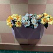 ヒメ日記 2026/03/10 02:17 投稿 りぜ 日本橋・谷九サンキュー