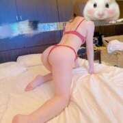 ヒメ日記 2026/02/12 12:22 投稿 なこ【艶やか美女】虜になる予感 One More 奥様 新宿店