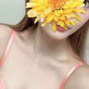 ヒメ日記 2026/02/22 20:32 投稿 なこ【艶やか美女】虜になる予感 One More 奥様 新宿店