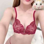 ヒメ日記 2026/03/08 21:42 投稿 なこ【艶やか美女】虜になる予感 One More 奥様 新宿店