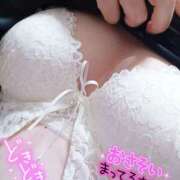 みちる ? 八尾藤井寺羽曳野ちゃんこ