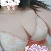 ヒメ日記 2025/10/30 14:57 投稿 新人つむぎ 奥様メモリアル