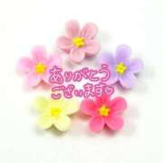 ヒメ日記 2025/11/04 12:43 投稿 もか 出会い系人妻ネットワーク 上野〜大塚編