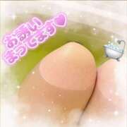 ヒメ日記 2025/12/26 08:30 投稿 もか 出会い系人妻ネットワーク 上野〜大塚編