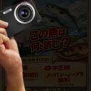 ヒメ日記 2026/02/19 18:31 投稿 えりな 春日部人妻花壇