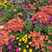 ヒメ日記 2025/11/20 01:17 投稿 まどか 横浜回春性感マッサージ倶楽部