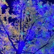 ヒメ日記 2025/11/25 20:17 投稿 まどか 横浜回春性感マッサージ倶楽部