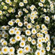 ヒメ日記 2026/03/02 23:17 投稿 まどか 横浜回春性感マッサージ倶楽部