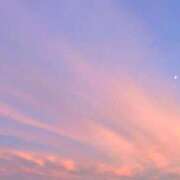 ヒメ日記 2025/10/30 02:19 投稿 なぎさ BITボイン