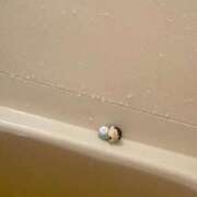 ヒメ日記 2026/01/08 21:25 投稿 すみれ どMばすたーず すすきの店