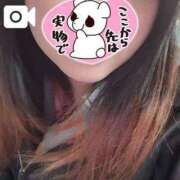 ヒメ日記 2026/04/21 06:14 投稿 すみれ どMばすたーず すすきの店